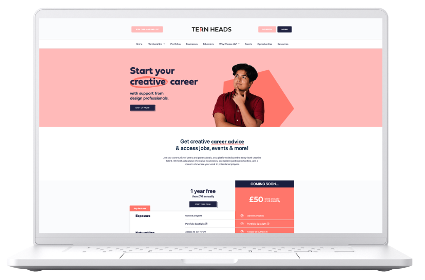 Ternheads website on desktop