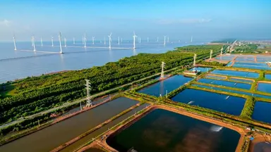 Wind power generation in Bac Lieu Province in Vietnam