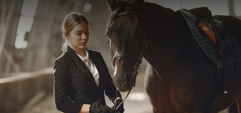 Battlesbridge Horse and Country