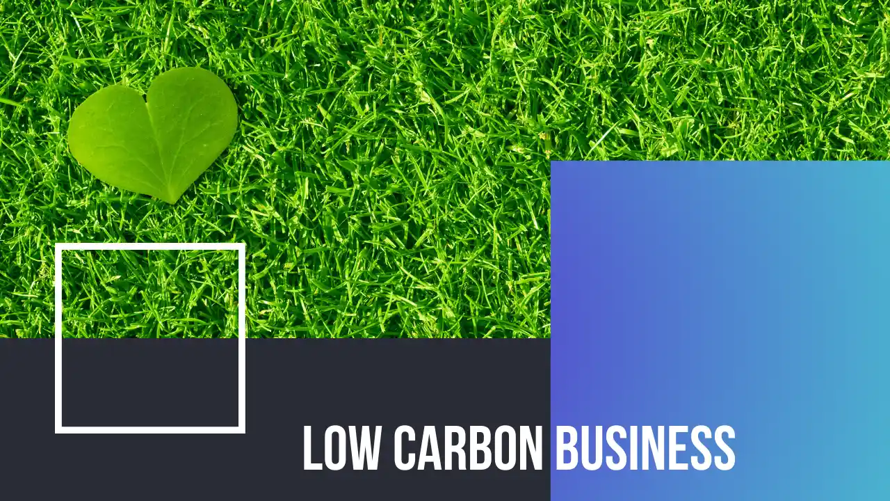 low carbon business